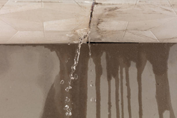 Professional Structural Drying technician working in Grelton, OH